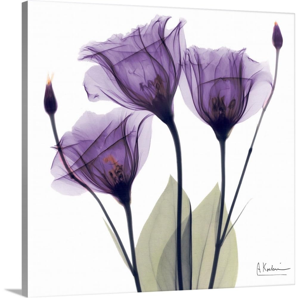 CANVAS ON DEMAND Purple Flower Trio Canvas Wall Art Print by Albert Koetsier, Home Decor, Artwork, 36  x36in