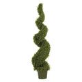 5 Rosemary Spiral Silk Tree (in-Door/Out-Door)