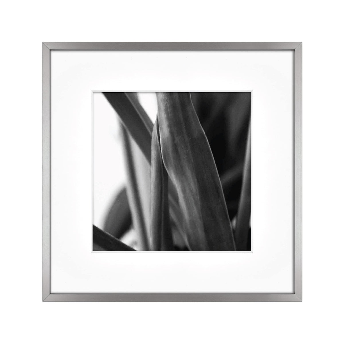 MCS Master & Co. Foundry Metal Gallery Wall Frame, Dark Silver, 12 x 12 in matted to 8 x 8 in
