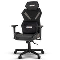 Drogo Ergonex Ergonomic Office Chair For Work From Home With Mesh, Armrest, 2D Headrest & Lumbar Support | Computer Chair For St