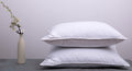 Arcticnorthdown Goose Down Feather Hotel Collection Bed Pillows For Sleeping Pair Standard Pillows For Back, Stomach Or Side Sle