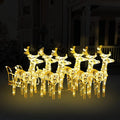 vidaXL Festive Christmas Yard Decoration - Acrylic Reindeers & Sleigh with 320 Energy-Efficient LED Lights - Indoor/Outdoor - Easy Assembly
