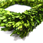 Boxwood Valley Preserved Boxwood Wreath, Wedding Home Decoration Full Green Real Boxwood Wreath, Indoor D  Cor For Halloween, Ch