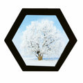alblinsy Hexagon Shaped Photo Frame Wooden Wall Hanging Picture Frames for Home Office Wall Decor,Simplicity Wall Gallery Artifi