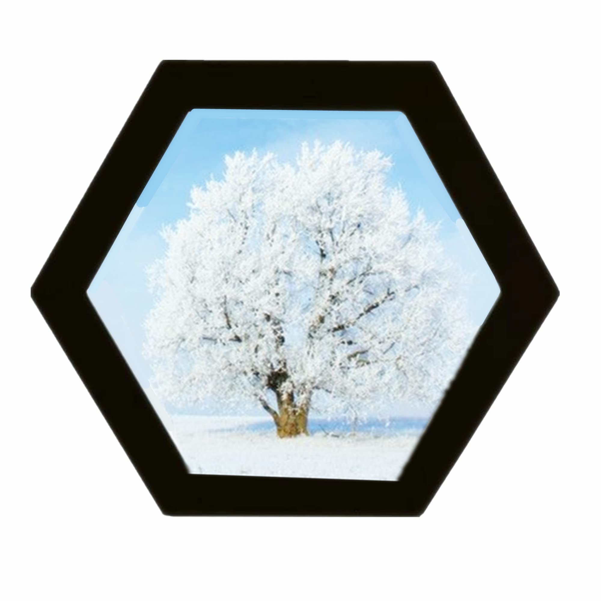 alblinsy Hexagon Shaped Photo Frame Wooden Wall Hanging Picture Frames for Home Office Wall Decor,Simplicity Wall Gallery Artifi