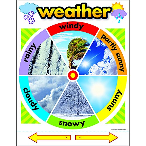 Weather Chart [Set Of 3]