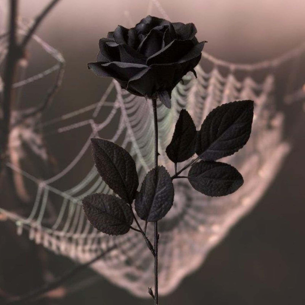 Laelfe 12 Pcs Artificial Flowers Black Roses, Fake Silk Flower Long Stem Artificial Black Rose For Halloween Home Wedding Party