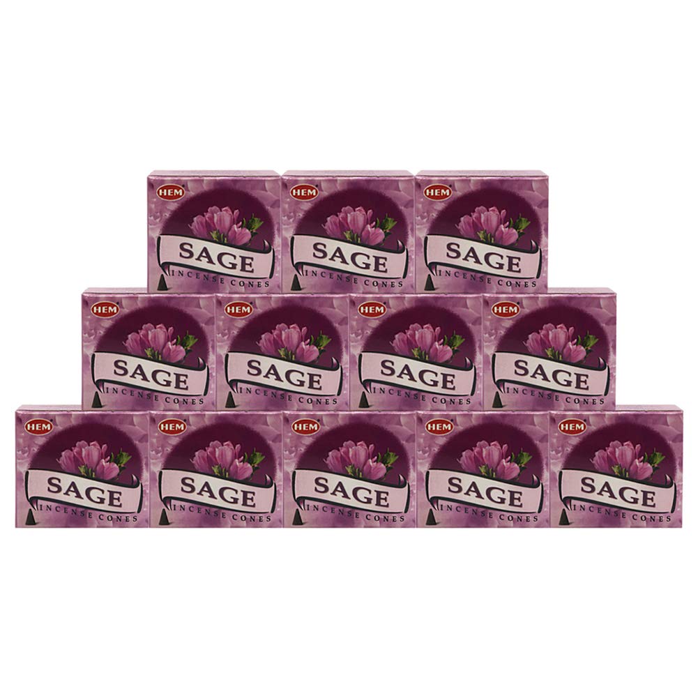 Sage Incense Cones And Cone Incense Burner Bundle Insence Insense Hem Incense