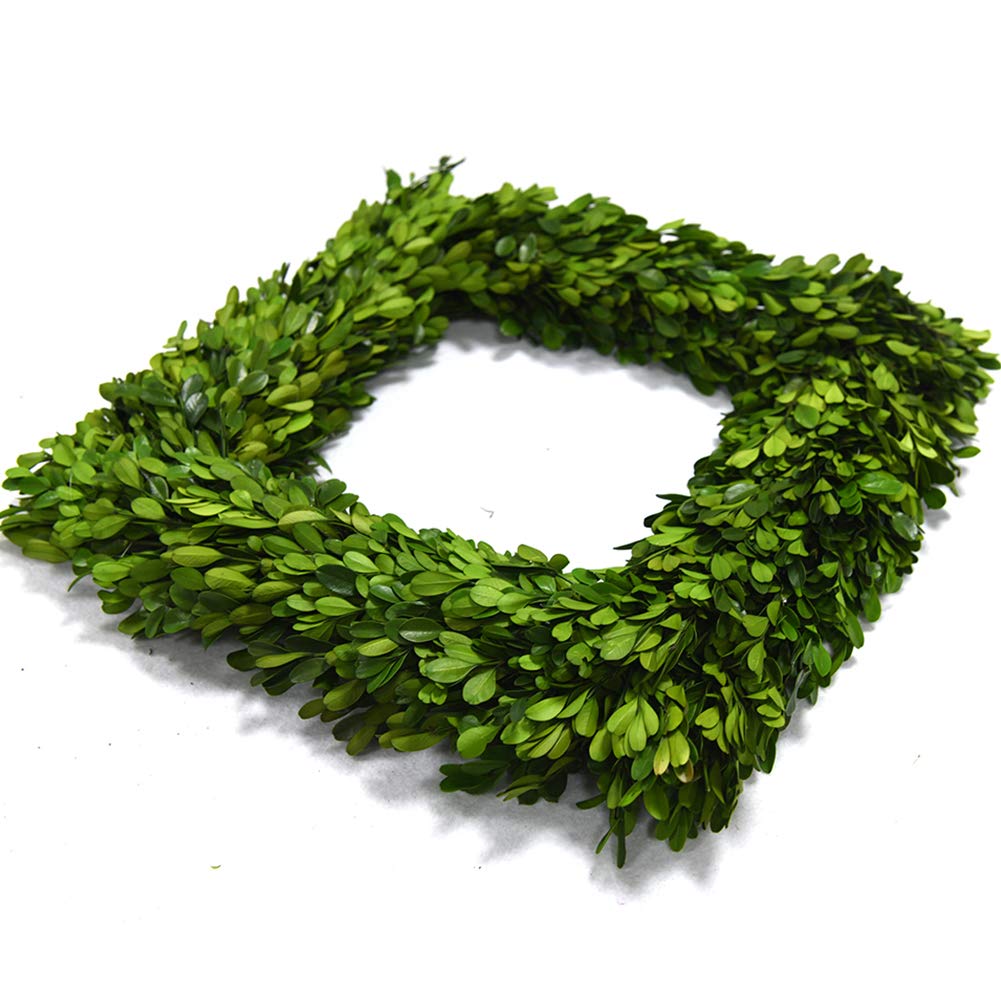 Boxwood Valley Preserved Boxwood Wreath, Wedding Home Decoration Full Green Real Boxwood Wreath, Indoor D  Cor For Halloween, Ch