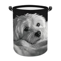 Maltese Dog Oxford Cloth Laundry Basket Foldable with Handle 44x44cm