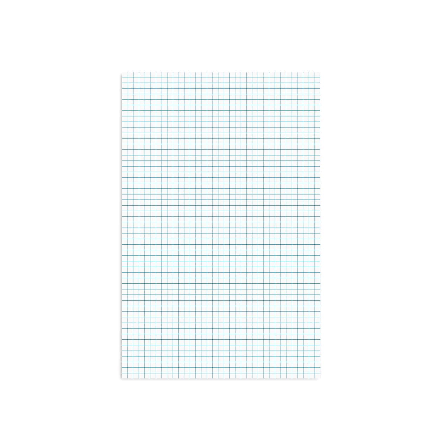 Staples 814566 Graph Pad 11-Inch X 17-Inch Graph White 50 Sheets/Pad (18586)