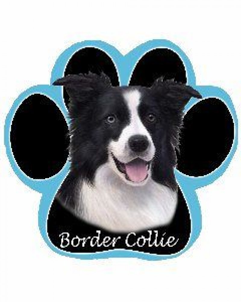Border Collie Dog Paw Non-Slip Mousepad