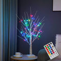 NXUEBDU Small White Christmas Tree 2 ft Birch Tree with LED Lights RGB Color Changing Lighted Birch Tree with Remote Light Up Tr