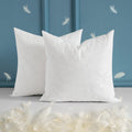 Miulee 22 X 22 Throw Pillow Inserts, Set Of 2 Down And Feather Cotton Decorative Pillows, Square Sham Stuffer For Sofa Couch Cus