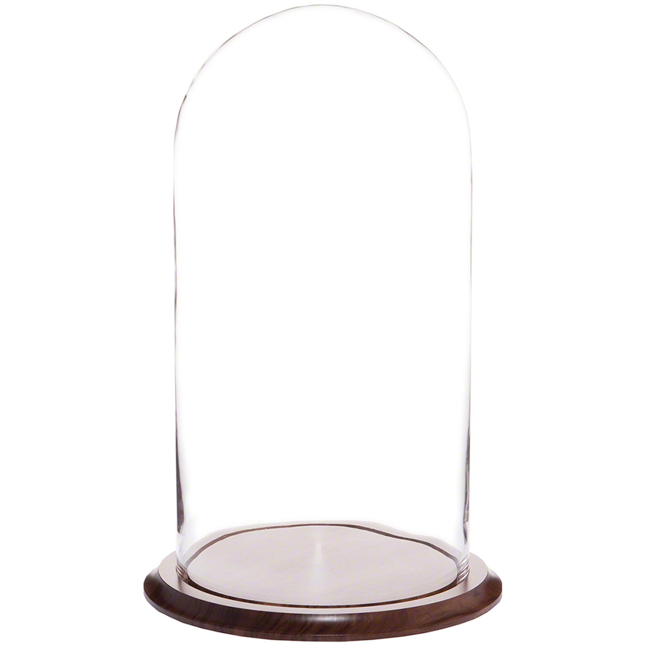 Plymor 9.75 x 20 Glass Display Dome Cloche (Walnut Base)