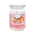 Scented 18 Ounce Glass Jar Container Candle - Strawberry Shortcake
