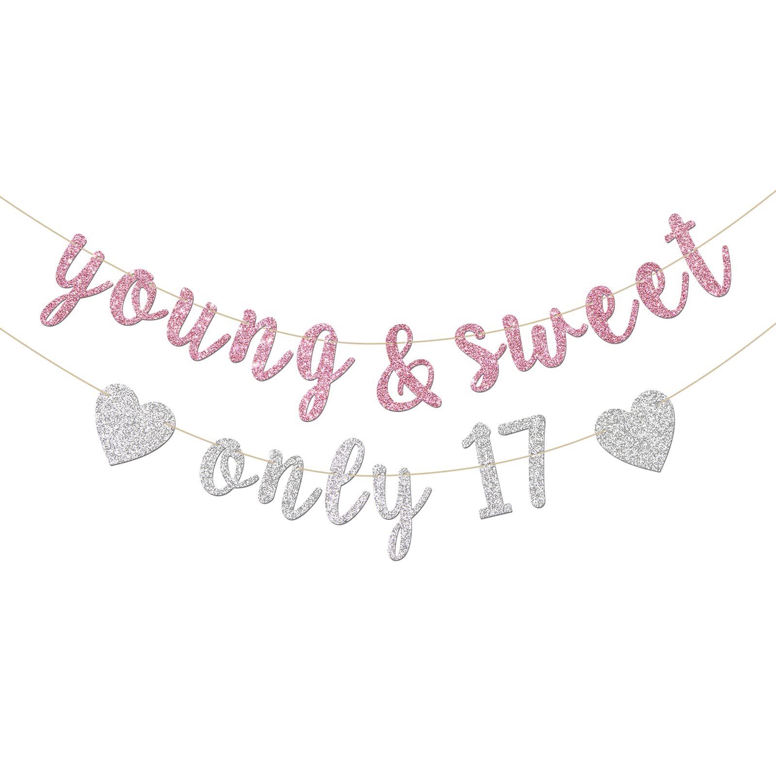 INNORU Young & Sweet Only 17 Banner - Happy 17th Birthday Party Decor for Girls - Cheers to 17 Years Party Decorations Supplies,