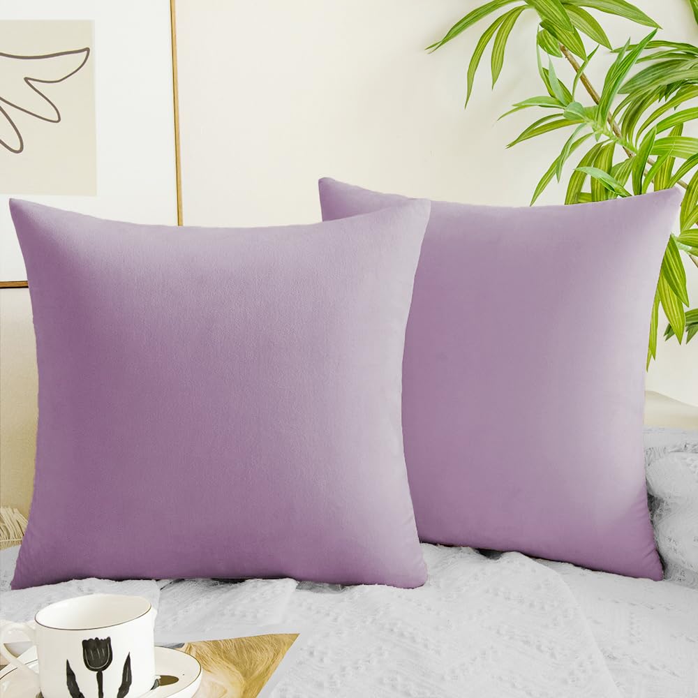 Quorgves Light Purple Pillow Covers 22X22 Inch Pack Of 2 Light Purple Throw Pillows For Couch Living Room Bed Bedroom Soft Velve
