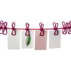 Alinna Retractable Portable Clothesline, Travel Clothesline With 12 Clothespins For Indoor Laundry Drying, Outdoor Camping Acces