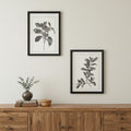 Set of Two Black And White Botanical Leaves Framed Art