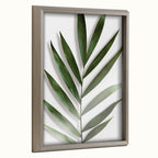 Blake Botanical 5F Framed Printed Glass by Amy Peterson