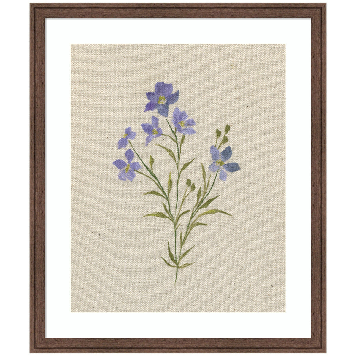 AQ Simple Bloom No 2 by Annie Quigley Framed Wall Art Print