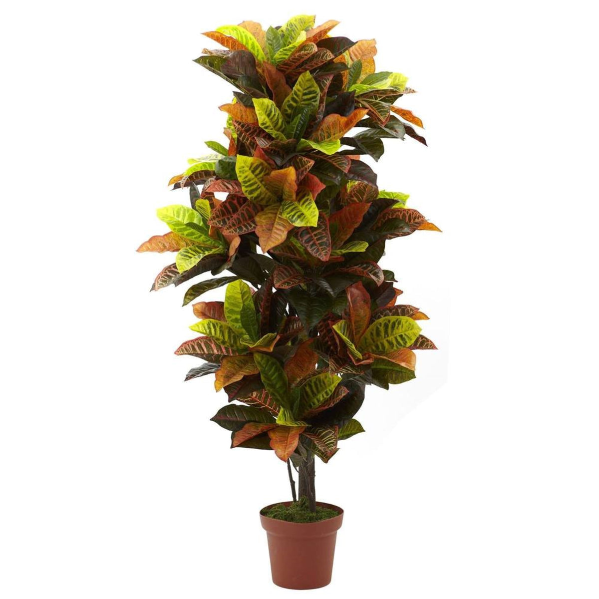 56 Croton Plant (Real Touch)