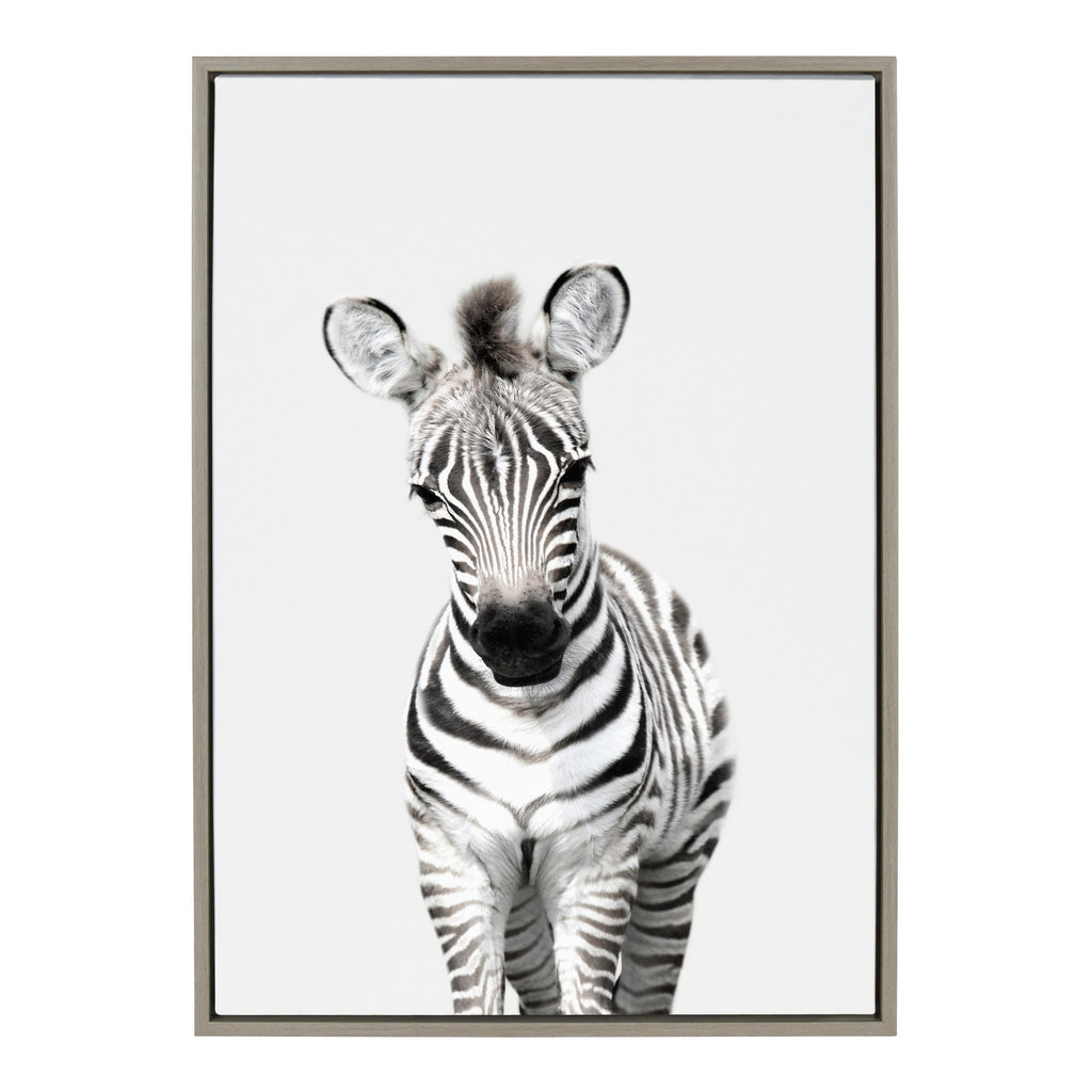 Sylvie Baby Zebra Framed Canvas by Amy Peterson