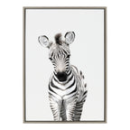 Sylvie Baby Zebra Framed Canvas by Amy Peterson