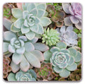 Square Mouse Pad, Premium Mouse Pad, Square Waterproof Mouse Pad, Non-Slip Rubber Base Mouse Pad 9X9 Inches (Succulent Plant)