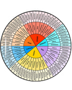 VROCUSE 12 inch Acrylic Feelings Wheel Chart for Therapy, School Counselor, Social Worker, Counseling Office Decor