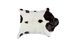 HomeRoots 316980 2 x 3 in. Calfskin Rug - White & Chocolate