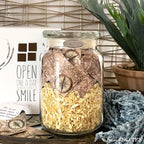 Kindnotes Glass Keepsake Gift Jar With Sympathy Messages - Time Travel Ivory