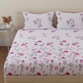 Huesland By Ahmedabad Cotton 144 Tc Double Bedsheet Cotton With 2 Pillow Covers | White & Pink