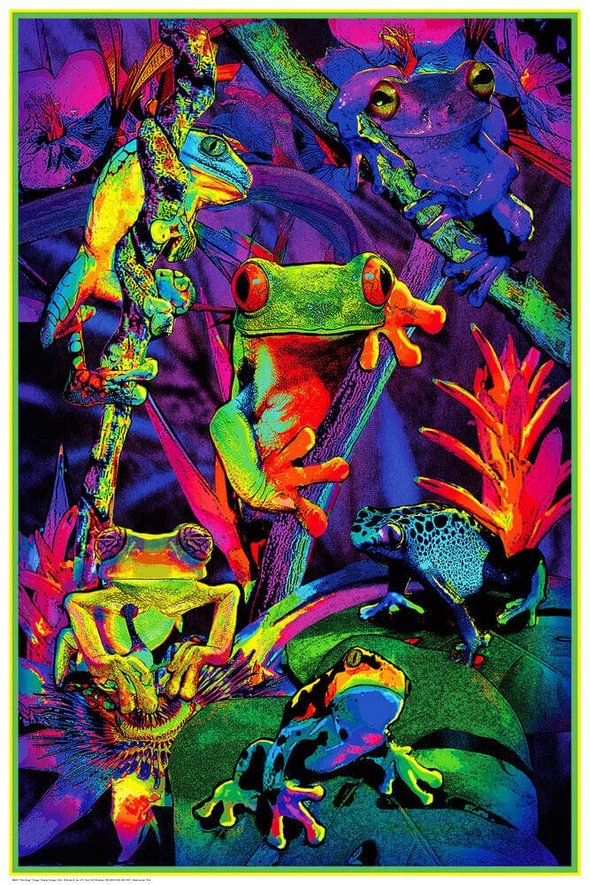 Studio B Tree Frogs - Non-Flocked Blacklight Poster - Laminated - 24.5 x 36.5