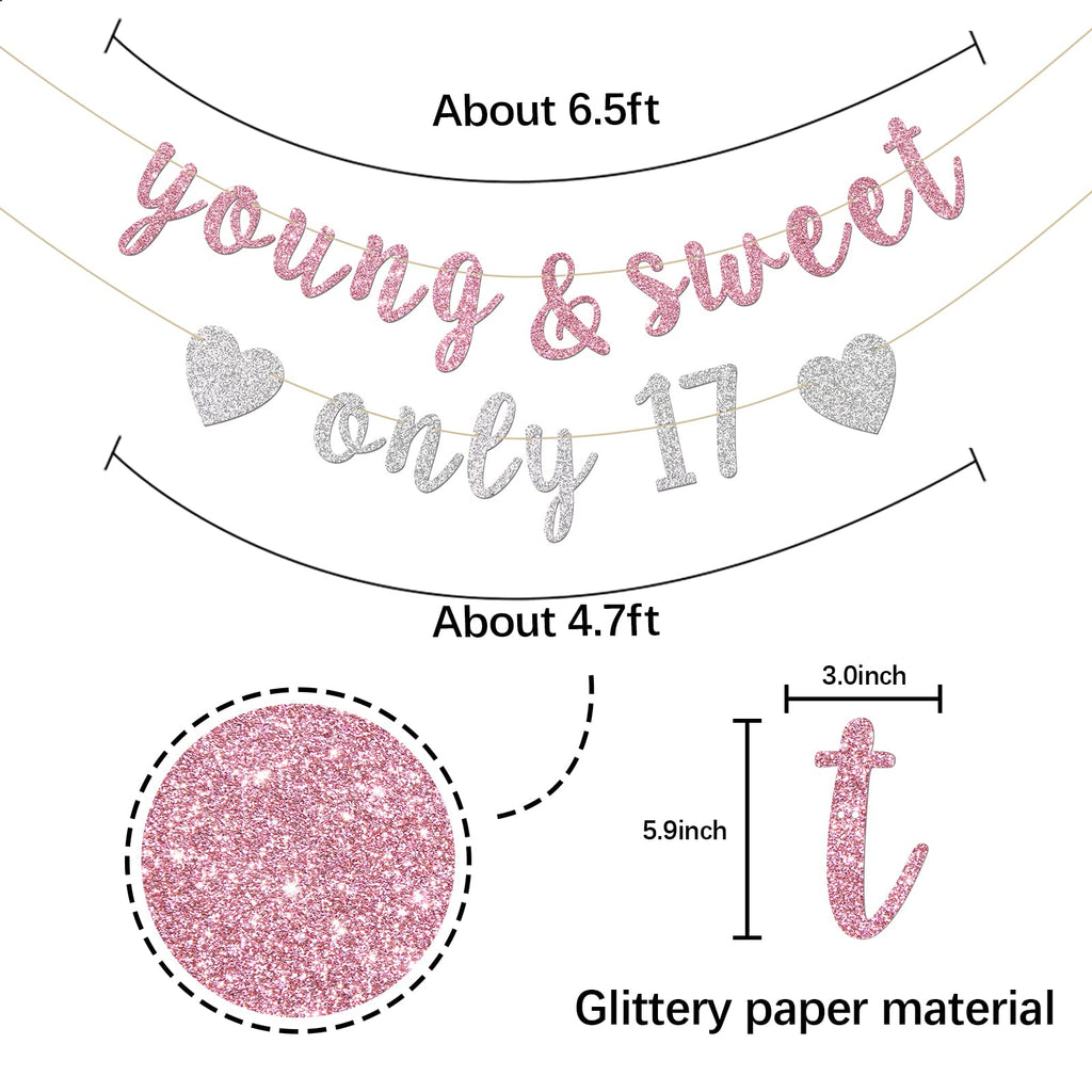 Innoru Young & Sweet Only 17 Banner - Happy 17Th Birthday Party Decor For Girls - Cheers To 17 Years Party Decorations Supplies,