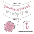 Innoru Young & Sweet Only 17 Banner - Happy 17Th Birthday Party Decor For Girls - Cheers To 17 Years Party Decorations Supplies,