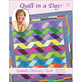 Speedy Delivery Quilt Pattern by Quilt in a Day