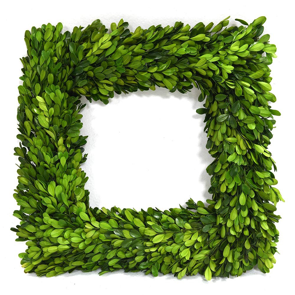 BOXWOOD VALLEY Preserved Boxwood Wreath, Wedding Home Decoration Full Green Real Boxwood Wreath, Indoor D  cor for Halloween, Ch