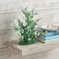 9 Green Resin Hand Painted Coral Tabletop Sculpture