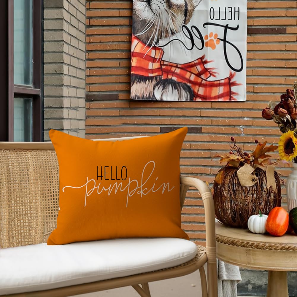 Rabusofa Fall Pillows Covers 18X18 Autumn Hello Pumpkin Pillows Decorative Throw Pillows,Lumbar Outdoor Thanksgiving Cushion Cov
