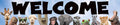 Teacher Created Resources Go Wild Animals Welcome Banner