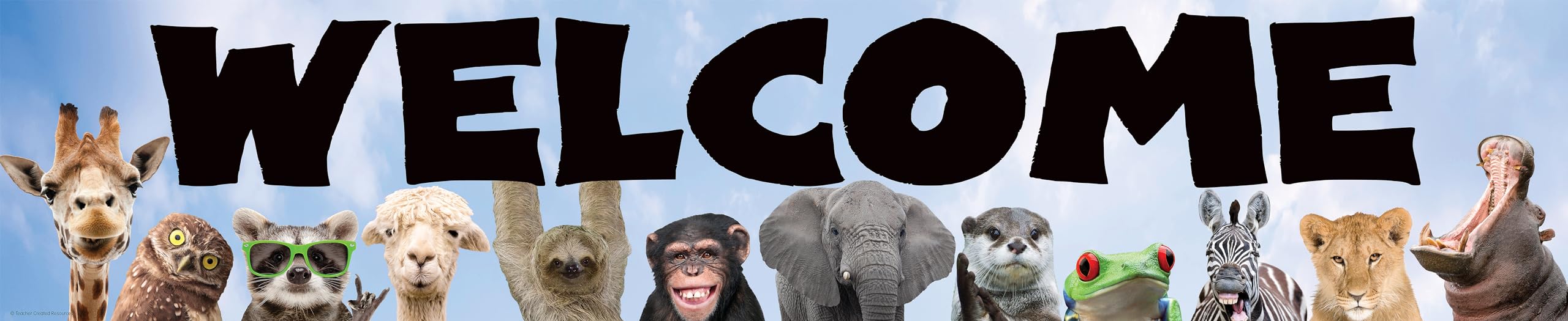 Teacher Created Resources Go Wild Animals Welcome Banner
