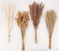 Dried Pampas Grass Decor, 100 PCS Pampas Grass Contains Bunny Tails Dried Flowers, Reed Grass Bouquet for Wedding Boho Flowers H