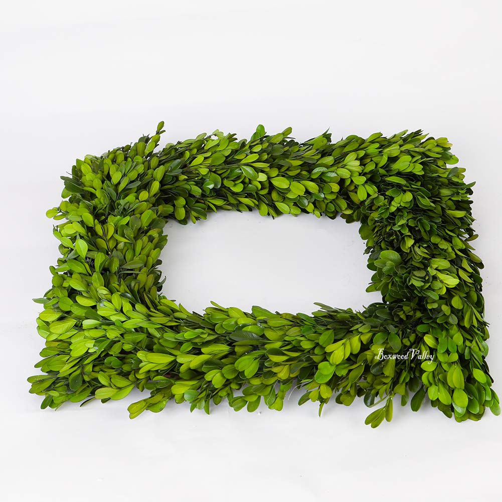 Boxwood Valley Preserved Boxwood Wreath, Wedding Home Decoration Full Green Real Boxwood Wreath, Indoor D  Cor For Halloween, Ch