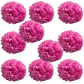 WYZworks Set of 10 - Cranberry 10 - (10 Pack) Tissue Pom Poms Flower Party Decorations for Weddings, Birthday, Bridal, Baby Show
