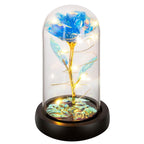 Childom Birthday Gifts for Women,Christmas Rose Gifts for Women,Womens Glass Rose Gifts,Light Up Rose Flowers in Glass Dome,Colo