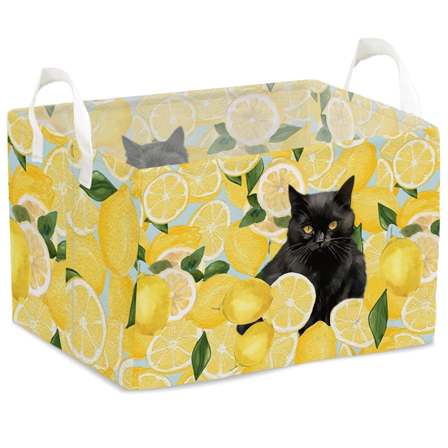 Black Cat Yellow Lemon Laundry Storage Basket, Waterproof Collapsible Hamper With Handles, Dirty Clothes Tote for Laundry Bathro