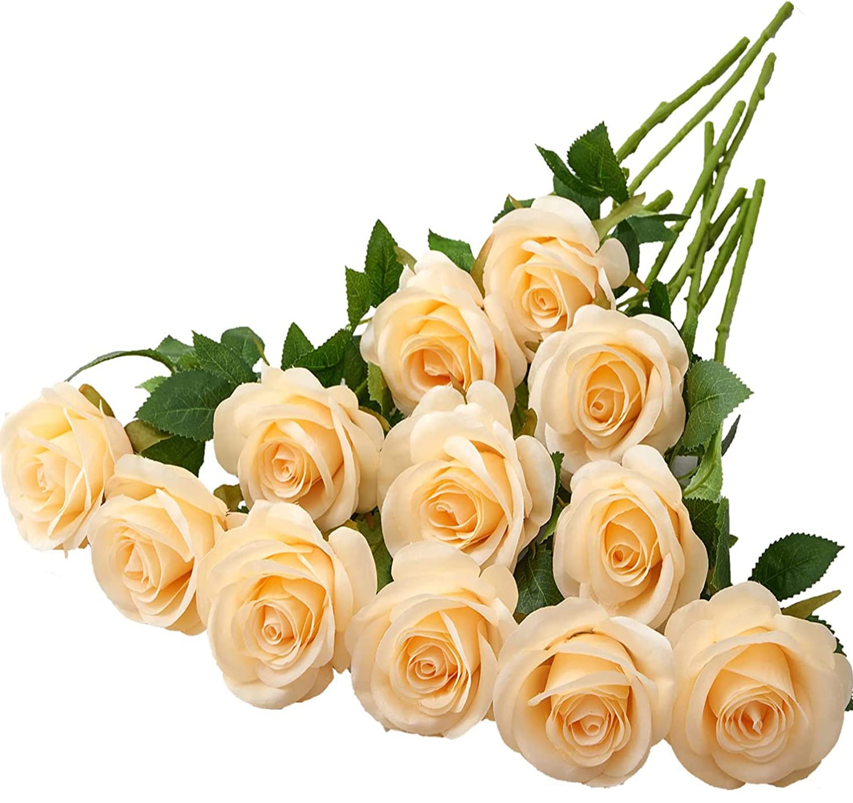 Helera 12pcs Champagne Roses Artificial Silk Flowers Faux Flowers with Long Stems for Wedding Decor Home Decor Baby Shower Party