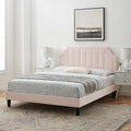 Modway MOD-6914-PNK Sienna Performance Velvet Full Platform Bed, Pink